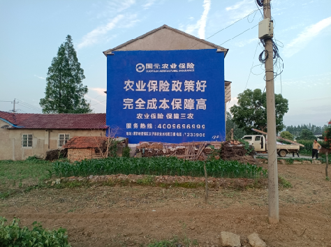 共青城墙体广告的优劣势你知道吗？